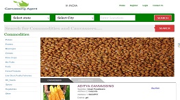 Canvassingagent Logo